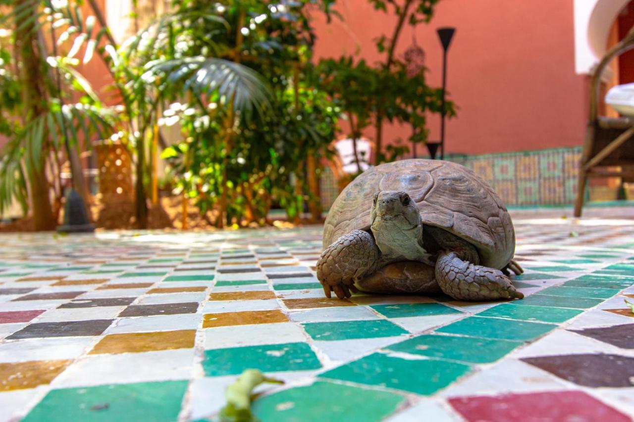 Riad Kaiss By Anika Марракеш Экстерьер фото